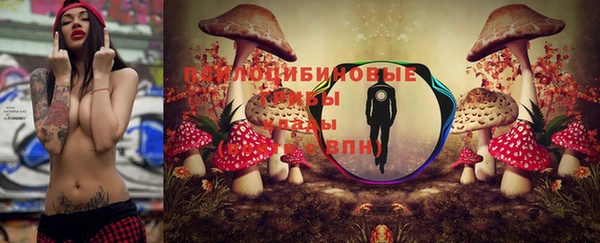 таблы Алексин